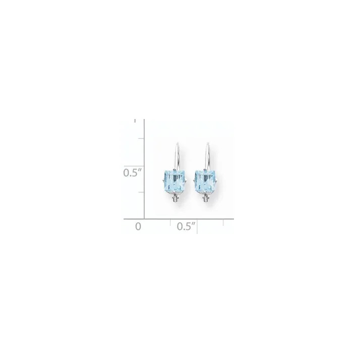 Goldia Earrings 14k White Gold 5mm Princess Cut Blue Topaz Leverback Earrings