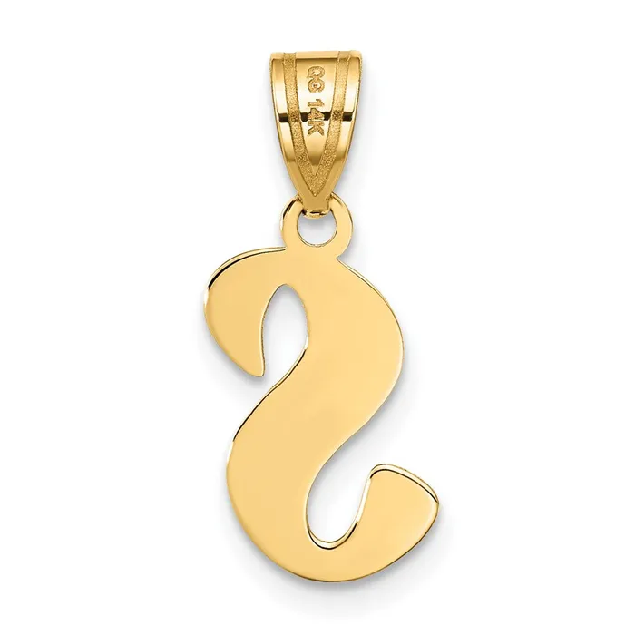 TreasureFineJewelers Necklaces 14k Yellow Gold Polished Script Letter S Initial Pendant
