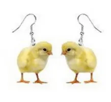 AliExpress Earrings Animal Acrylic EarringsRaccoon Bunny Turkey Hedgehog HamsterMORE