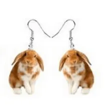 AliExpress Earrings Animal Acrylic EarringsRaccoon Bunny Turkey Hedgehog HamsterMORE