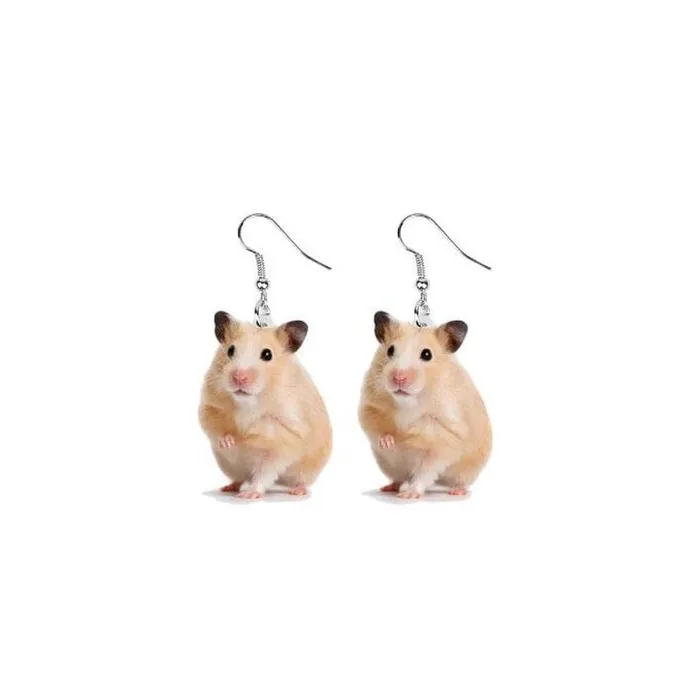 AliExpress Earrings Animal Acrylic EarringsRaccoon Bunny Turkey Hedgehog HamsterMORE