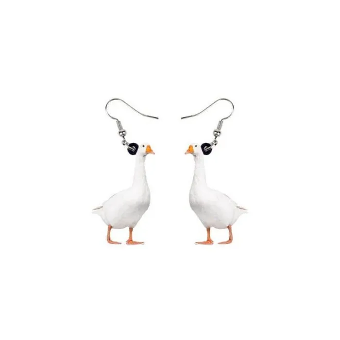 AliExpress Earrings Animal Acrylic EarringsRaccoon Bunny Turkey Hedgehog HamsterMORE