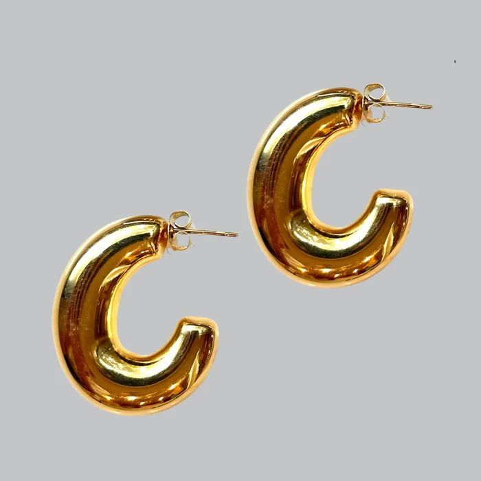 ClaudiaG Elongated Tamara Earrings Earrings
