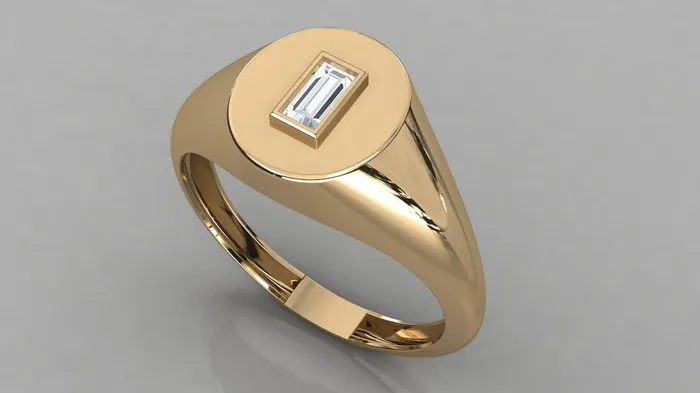 Rings Jalvi Co Signet Ring in 14k Gold Baguette Diamond Pinky Ring in 14k Gold Bezel Set Baguette Rose Gold Pinky Ring Memorial Day Sale Rings Jalvi Co Signet Ring in 14k Gold Baguette Diamond Pinky Ring in 14k Gold Bezel Set Baguette Rose Gold Pinky Ring Memorial Day Sale
