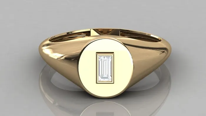 Rings Jalvi Co Signet Ring in 14k Gold Baguette Diamond Pinky Ring in 14k Gold Bezel Set Baguette Rose Gold Pinky Ring Memorial Day Sale Rings Jalvi Co Signet Ring in 14k Gold Baguette Diamond Pinky Ring in 14k Gold Bezel Set Baguette Rose Gold Pinky Ring Memorial Day Sale