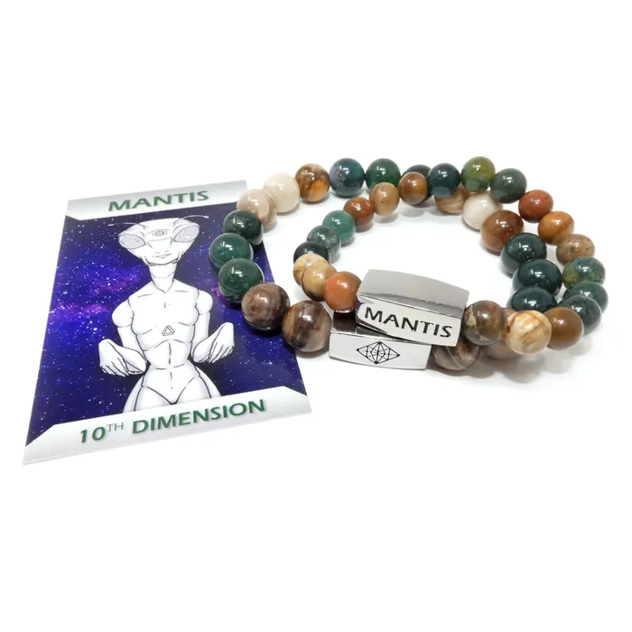 Bracelets 10mm Elizabeth April Channeled Mantis Sacred Geometry Limited Edition Cosmic Species Stretch Bracelet Lily Rose Jewelry Co