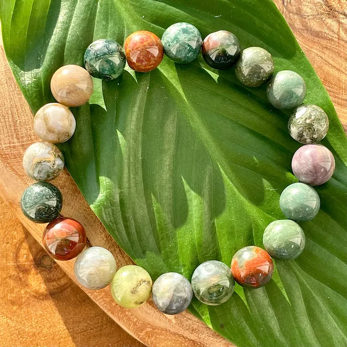 Lily Rose Jewelry Bracelets Indian Agate Growing Beauty Inner Wisdom 10mm Stretch Bracelet Lily Rose Jewelry Bracelets Indian Agate Growing Beauty Inner Wisdom 10mm Stretch Bracelet